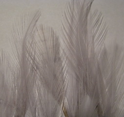 ����� Dry Fly Tailing (��� ��������� ����� ���) Lt.Dun / ������ ����� Natures Spirit